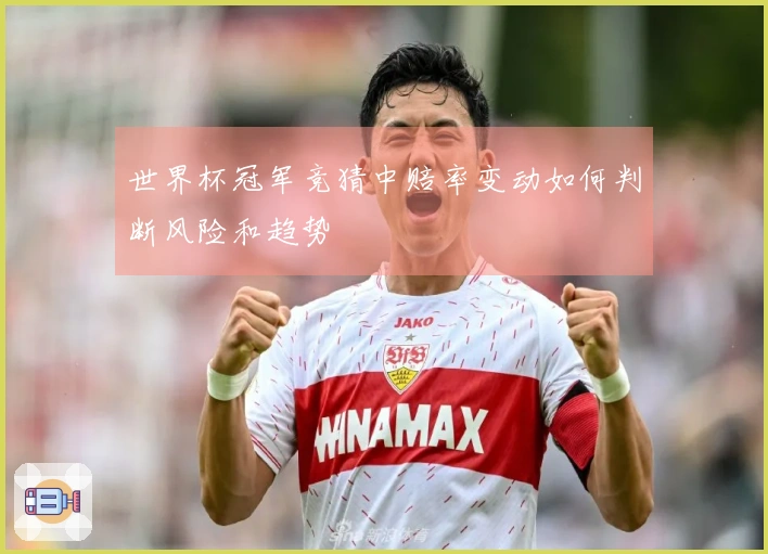 世界杯冠军竞猜中赔率变动如何判断风险和趋势