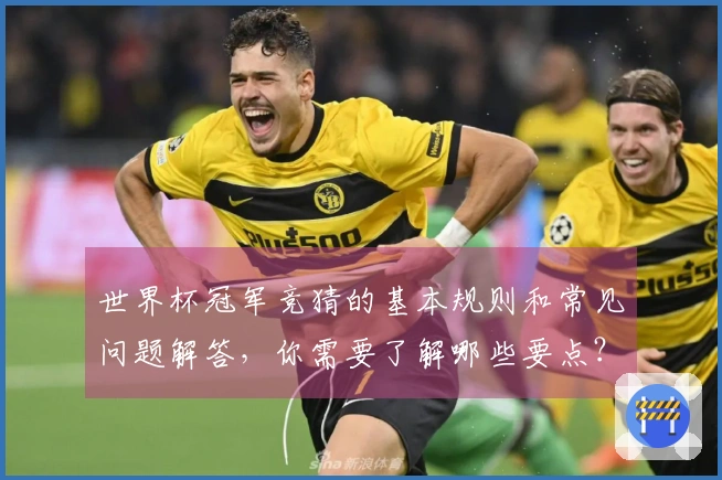 世界杯冠军竞猜的基本规则和常见问题解答，你需要了解哪些要点？