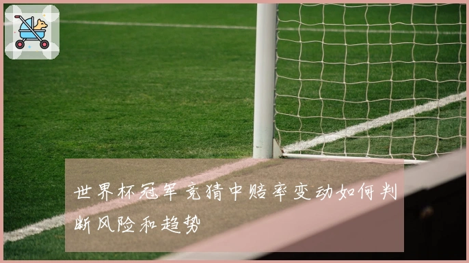 世界杯冠军竞猜中赔率变动如何判断风险和趋势