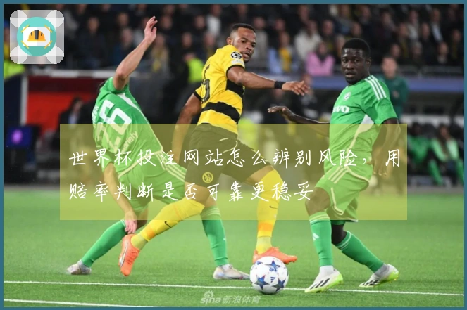 世界杯投注网站怎么辨别风险，用赔率判断是否可靠更稳妥